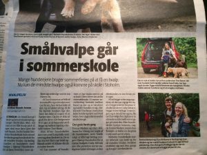 Viborg Folkeblad skriver om småhvalpe i sommerskole.