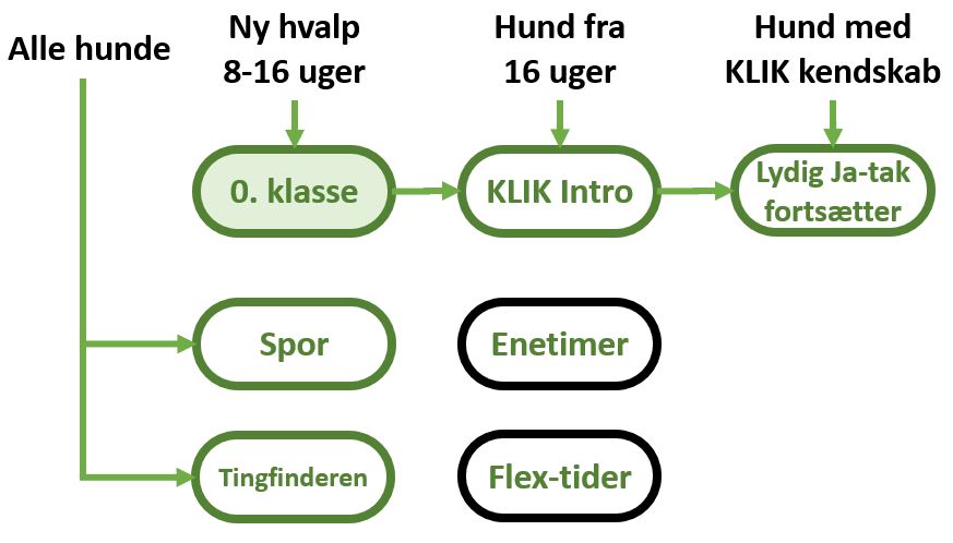 Oversigt5