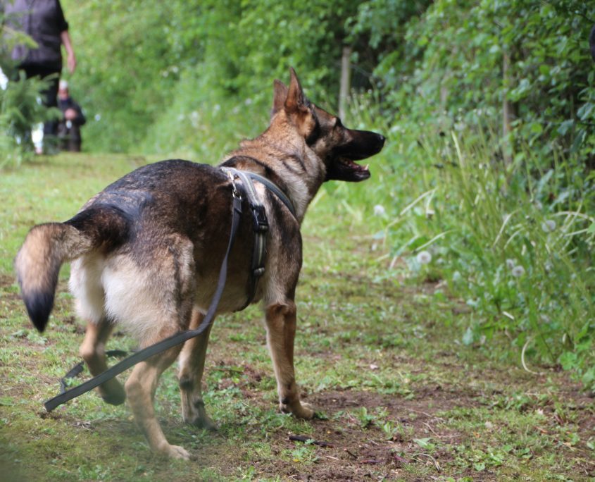 IMG_1451